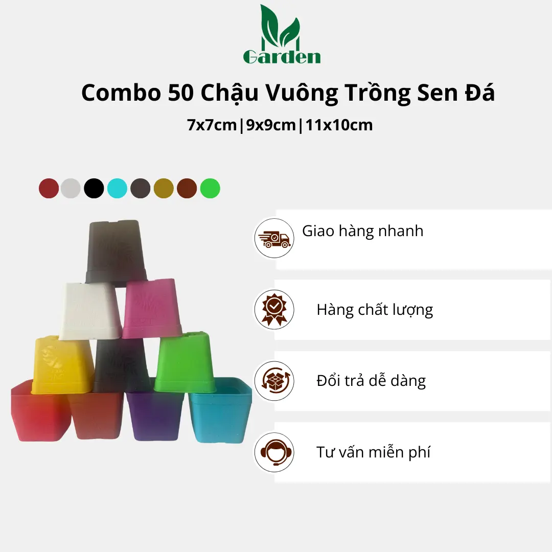 Combo 50 Chậu Vuông Trồng Sen Đá - Đủ Size - Đủ Màu