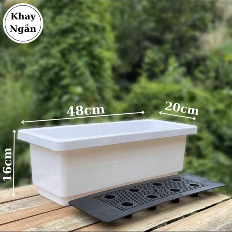   COMBO 5  Chậu nhựa trồng hoa - trồng rau - trồng cây cảnh hình chữ nhật thông minh KT 48X20X16cm 