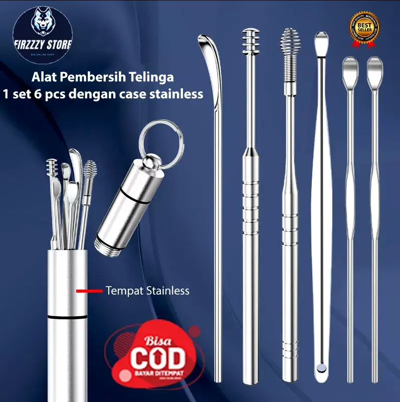 1 Set Pembersih Telinga Korek Kuping Ear Spoon Tool 6 PCS Case Stainless