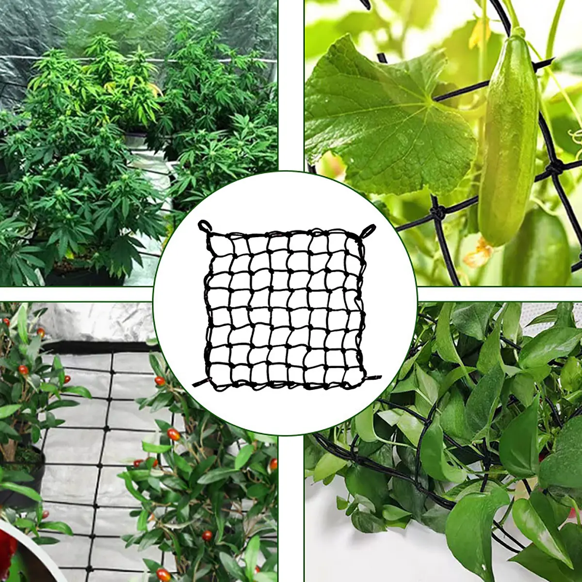 Trellis Netting Plant Supporten Elastic Latex Net With Hooks For Indoor Grow Tents Low Stress Training