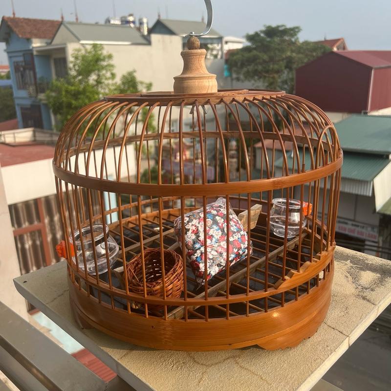Lồng cu gáy trúc cật. Kiểu mới. Kích thước chiều rộng 38cm, 40cm. Chiều cao 25cm. Nan lồng 3li. Có đủ phụ kiện. Miễn phí vận chuyển 1