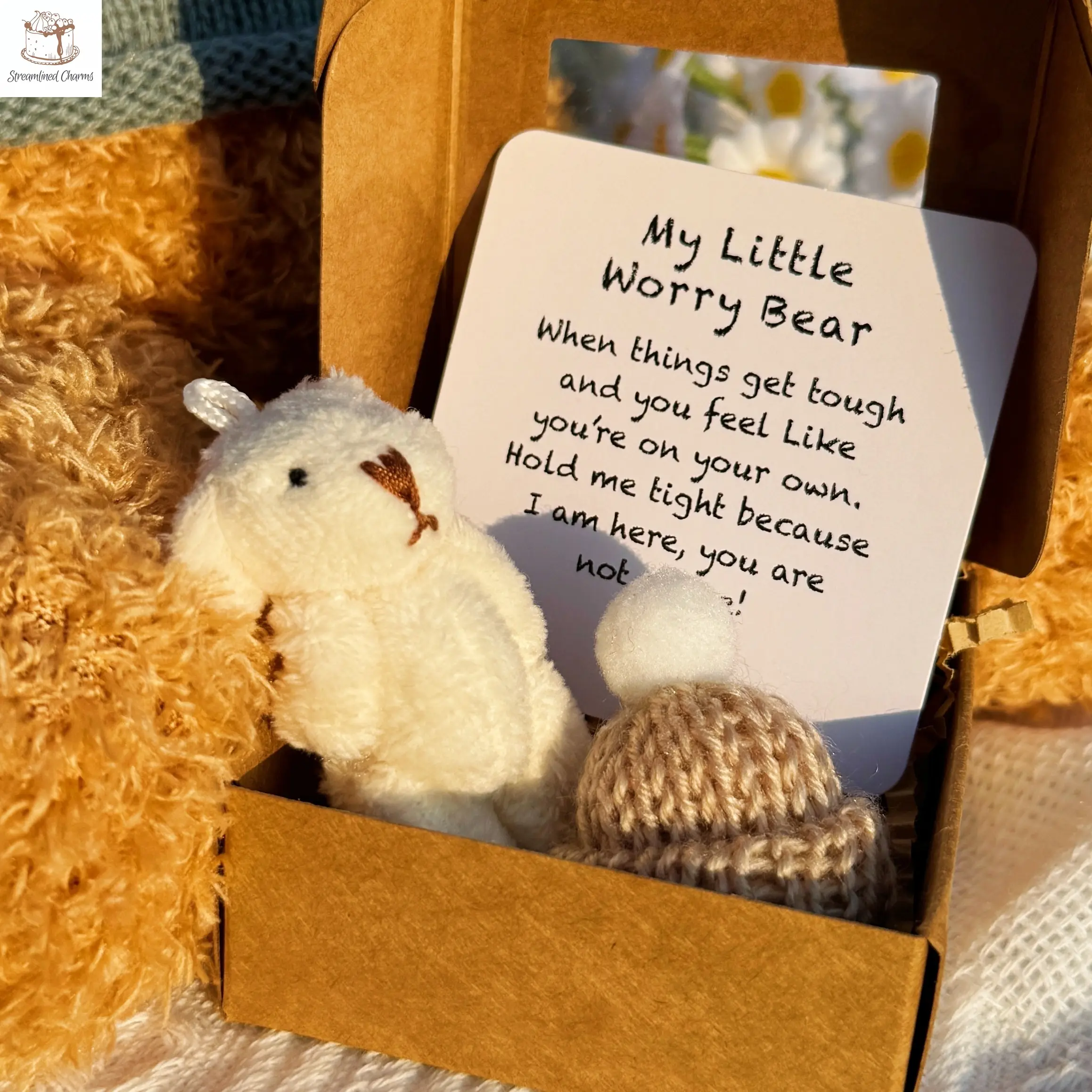Streamlined Charms  Mini Plush Pocket Teddy Bears in Box with Inspirational Card: Perfect for Graduation, Birthday, Valentine's Day, and Mother's Day. A Great Gift Option for Both Men and Women.