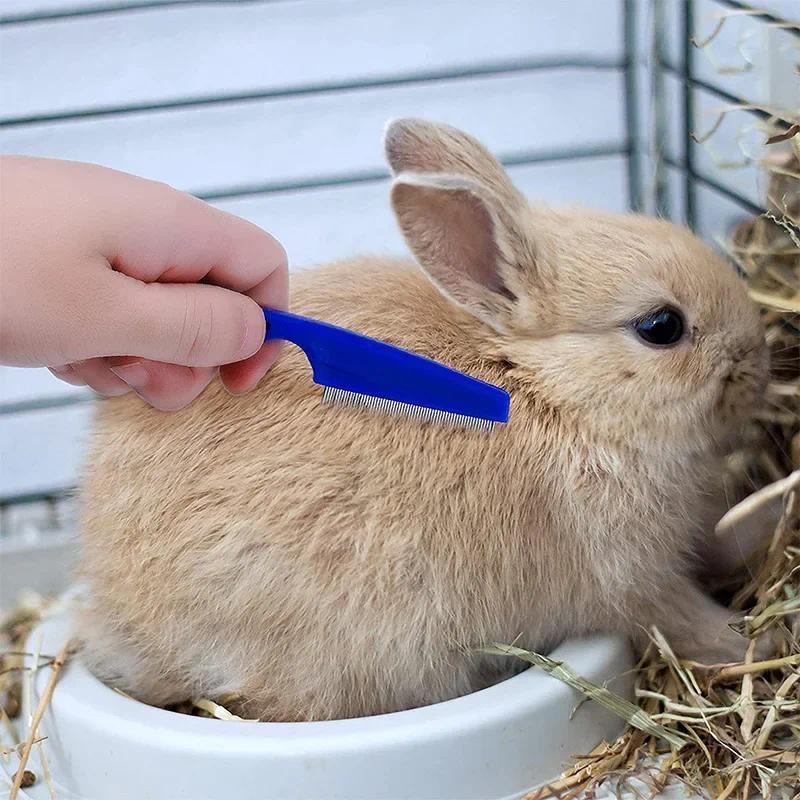 Product Introduction of 1Pc Rabbit Grooming Brush Pet Hair Remover Flea Comb Shampoo Bath Brush for Hamster Guinea Pig Rabbit Small Pet Accessories 22
