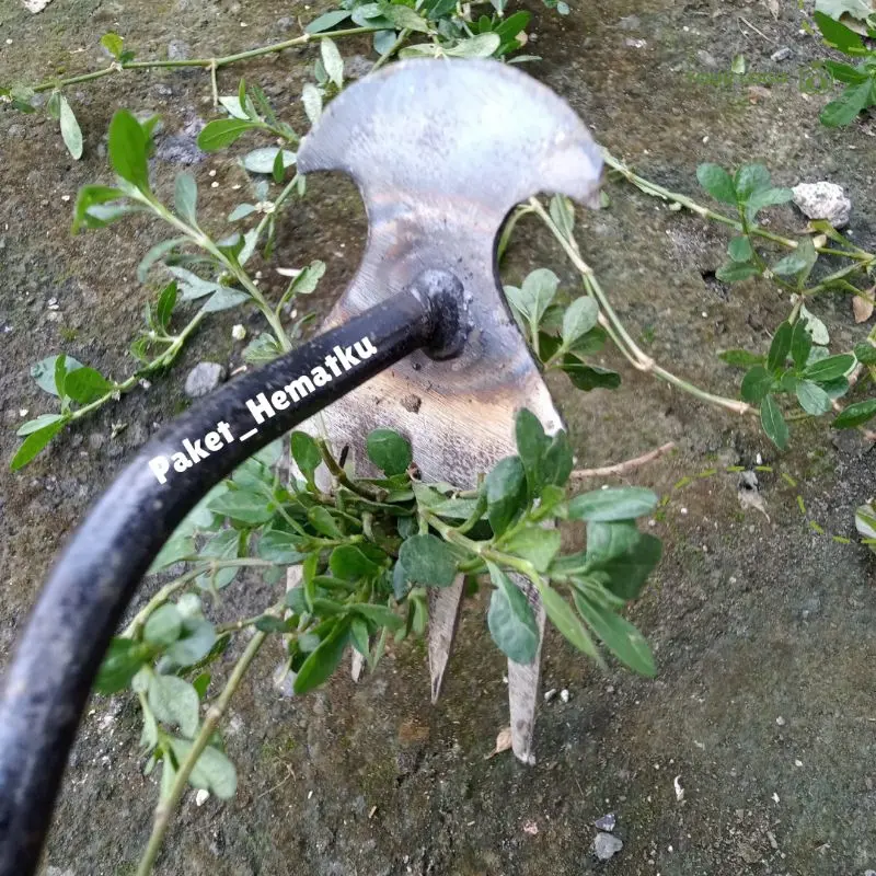 Alat Pencabut Rumput Manual 2 Sisi - Weeding Garu Harrow Manual - Weeding Hoe - Weeding  Penghapusan Puller Hoe - Weeding Remover Multifungsi 2