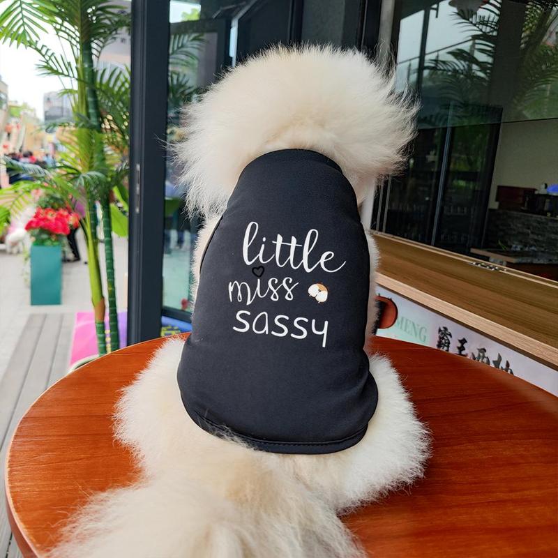 Fashionable Letter Print Pet Vest, Breathable Lightweight Pet Clothing for Small Dogs & Cats, Easy To Stretch Design Pet Clothes for Summer 6