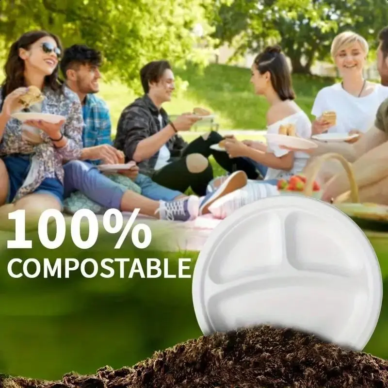 9 Inch Disposable Paper Plate, 100pcs/set 3 Compartment Disposable Paper Plate, Disposable Tableware for Party, Picnic, Camping 6