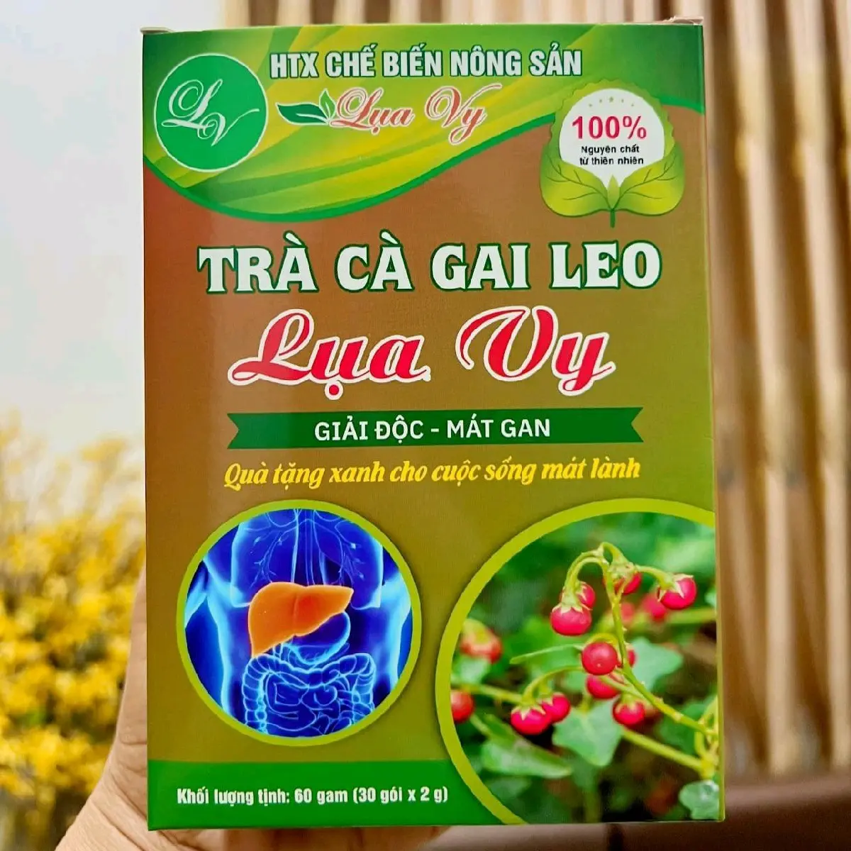 Trà cà gai leo LụaVy