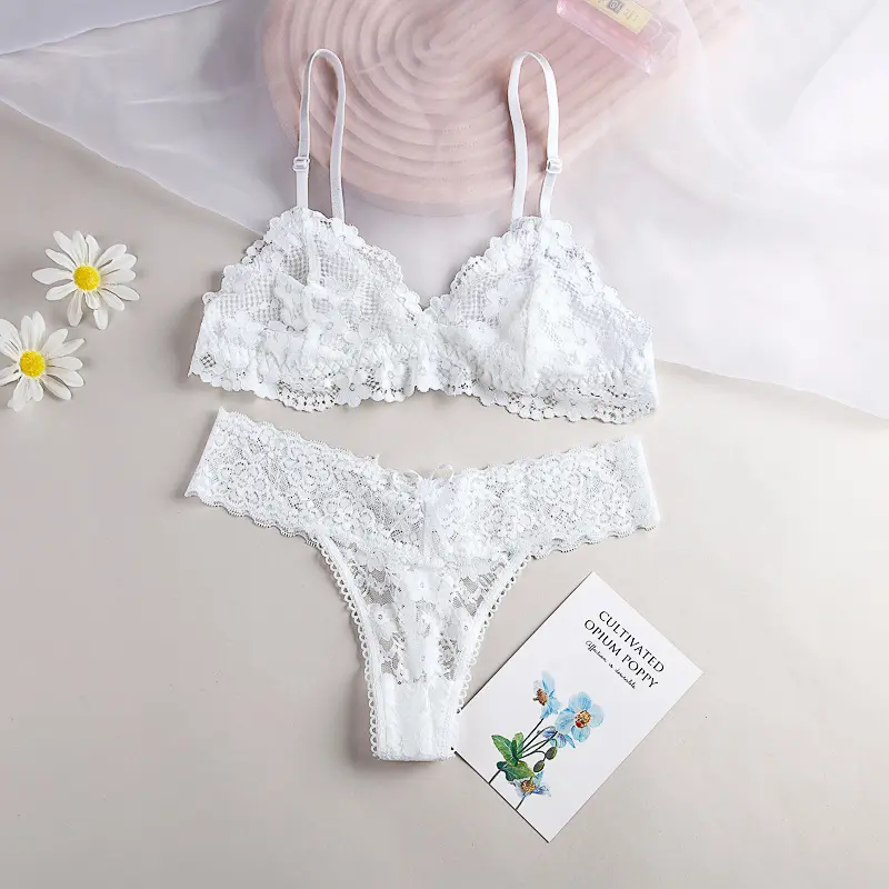 Bộ Áo Ngực Ren, Nhẹ Và Mỏng, Gợi Cảm Và Trong Suốt, Không Có Vòng Thép, Không Có Đệm Ngực, Áo Ngực Mỏng, Bộ Đồ Lót Nữ 2