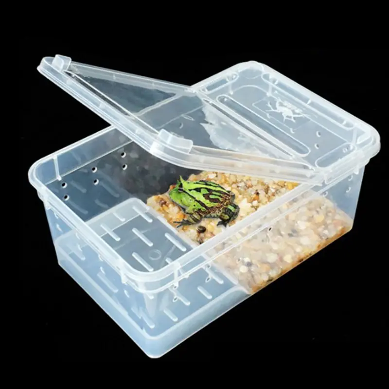 Reptile box Mantis jumping spider silkworm rearing box reptile rearing box
