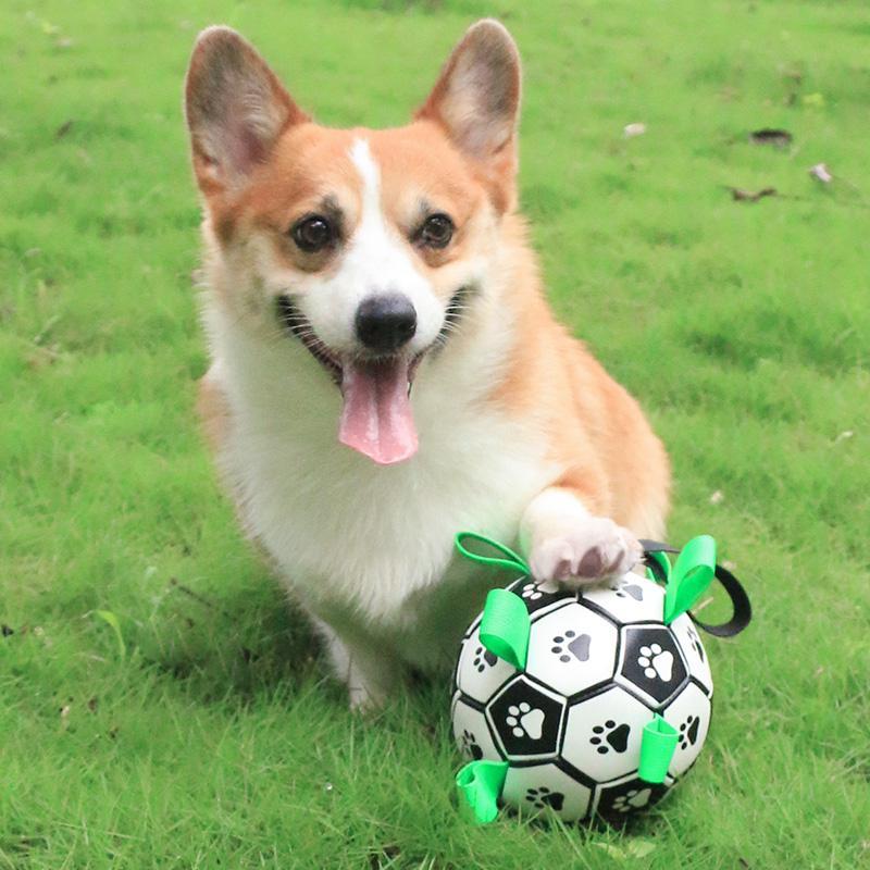 Dog Chew Toy with Built-in Strap, Bite Resistant Dog Teething Toy, Pet Interactive Balls, Dogs & Cats Accessories 4