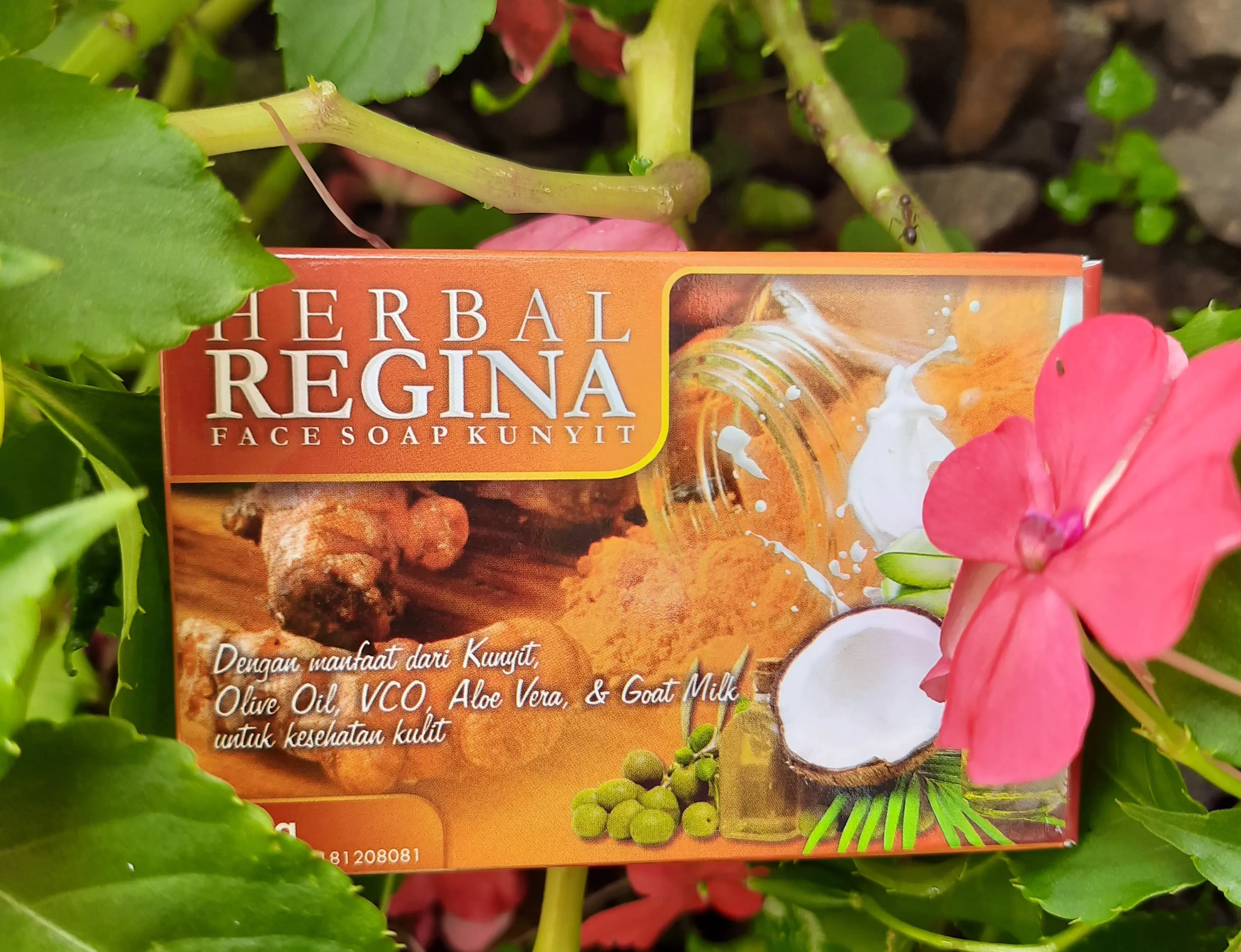 Sabun Kunyit Herbal Nurgrina Khairegina Regina jamur Panu Kurap Original 100%