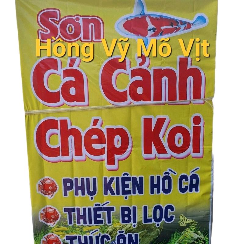 Decan ( KIM NGÂN, KIM SƠN ) hình quảng cáo siêu kute Decor Decal ( Cá cảnh ) 8