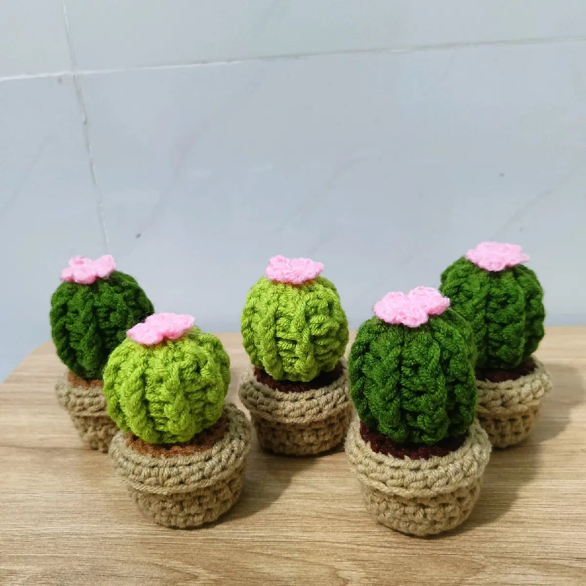 Cây xương rồng xinh xắn