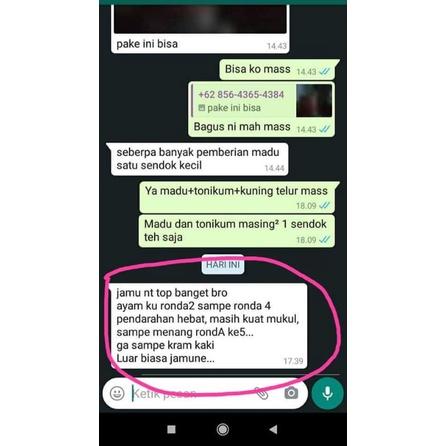 JAMU PYONGYANG VVIP PAKET 2 BOTOL 8