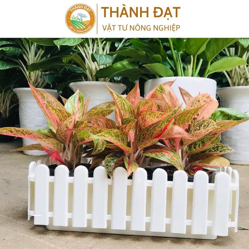 Chậu hàng rào size to 45x20x15cm, hàng Loại 1 dày, bóng đẹp nhiều màu, Chậu Nhựa Composite Trồng Hoa