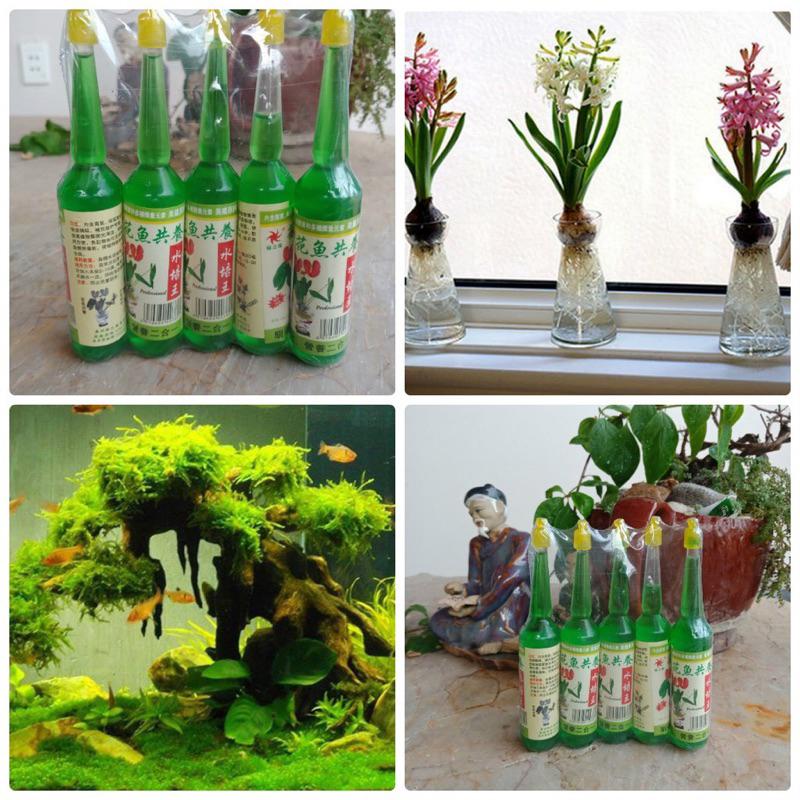   38ml  Dung Dịch Thủy Canh chuyên dùng cho cây thủy sinh cây cảnh bể cá + Quà Tặng 1 gói hạt giống sen nhật 