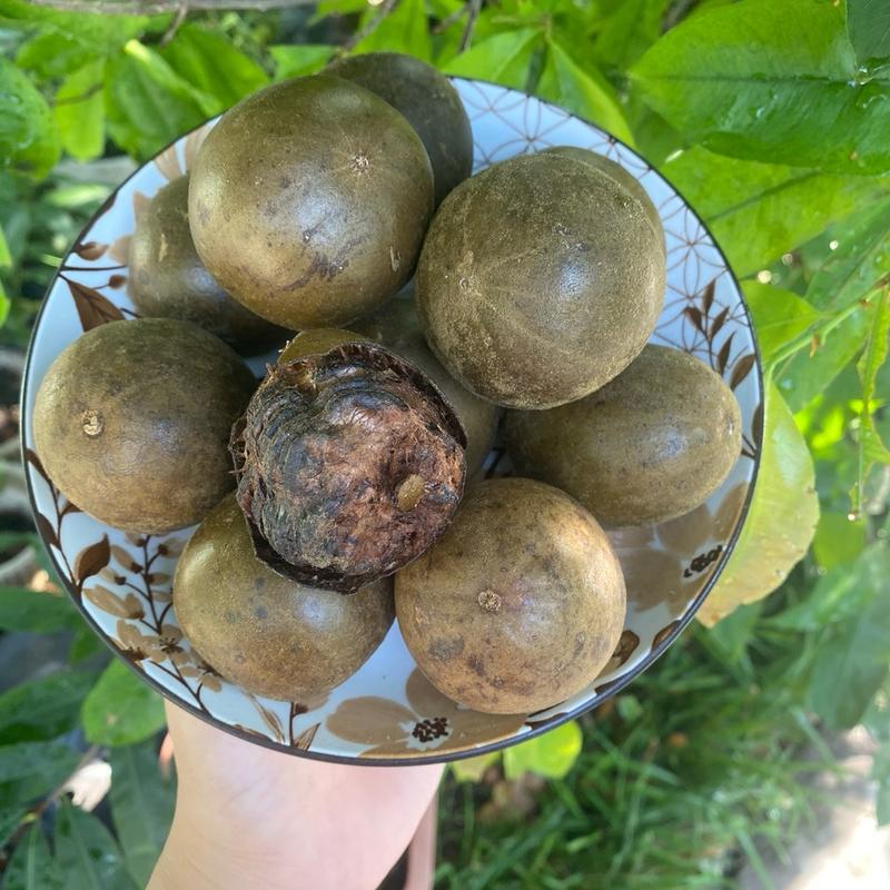 12 QUẢ LA HÁN khô size vừa ( size 55-60 quả 1kg) giải nhiệt, thanh lọc, nấu nước uống Nước Trà Tea