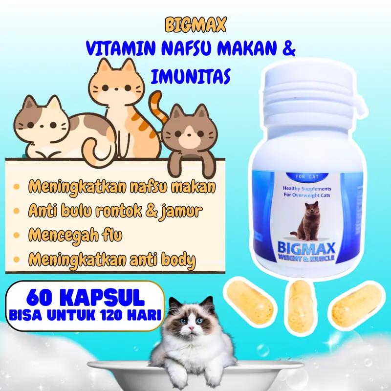 VITAMIN KUCING NAFSU MAKAN PENGGEMUK BULU RONTOK KUCING ANTIBODY KUCING BIAR GEMUK PENAMBAH NAFSU MAKAN KUCING CEGAH RONTOK BULU KUSAM JAMURAN MAX VIT ROYAL CARE BIG CAT BABAH CAT HOUSE CLEVER SOLUTION CUTE CAT perawatan bulu & kulit bisa dikunyah 0