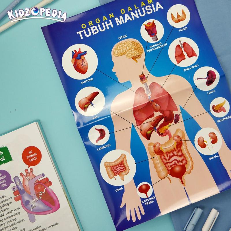 Buku Sains Anak - Kidzopedia Keajaiban Tubuh Manusia - Hard Cover Books Psychology 7