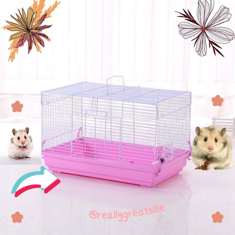 Lồng Hamster Size Đại 47cm tặng bình nước và bát ăn