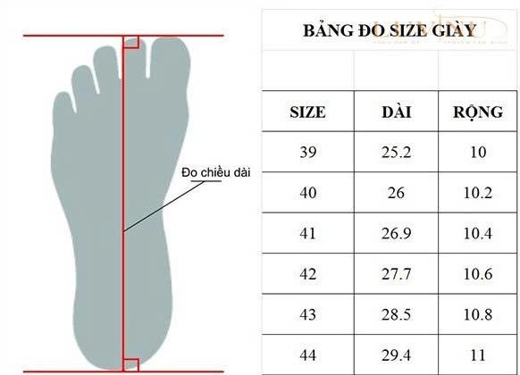Product Introduction of GIÀY CAO GÓT MŨI NHỌN ĐẾ VUÔNG CAO 5CM NƠ ĐÁ SANG TRỌNG ma291 0