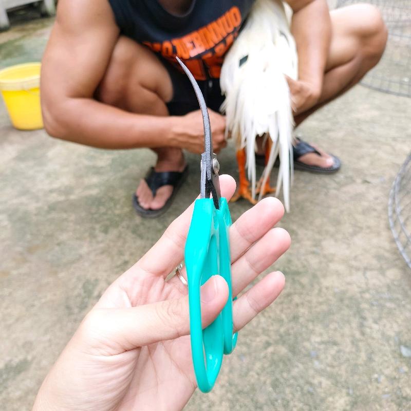 kéo cong tỉa lông bo đuôi 1
