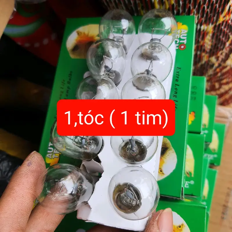 hộp 10 bóng đèn xi nhan, đèn phanh 12v 24v 21w xe tải, xe hơi, máy công trình Phụ Tùng 1