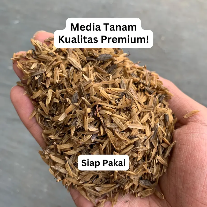 Sekam Mentah Fermentasi - Media Tanam Tanaman 2