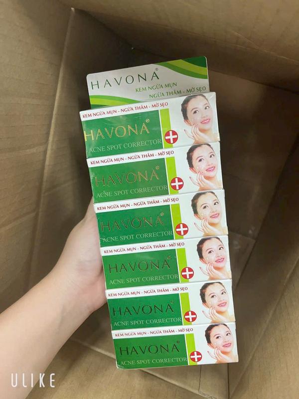 Kem Mụn Thâm Mờ Sẹo Havona 1