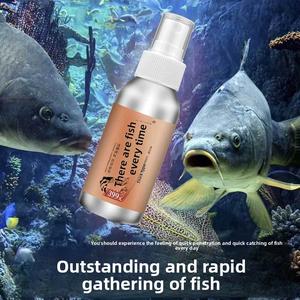 Mồi câu cá, Liên kết, Câu cá hoang dã, Hồ chứa, Phụ gia mồi câu cá, Đồ câu cá, Thiết bị câu cá, Thức ăn cá, Thuốc nhỏ