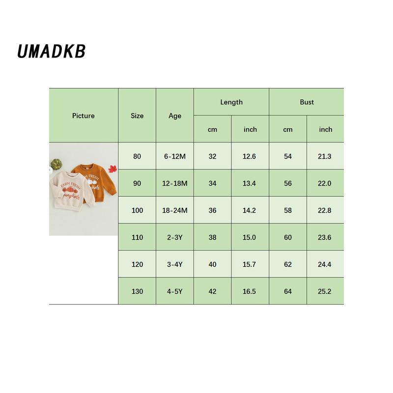 Product Introduction of Kids Halloween Sweatshirt, Long Sleeve Letters Pumpkin Hoodie 0