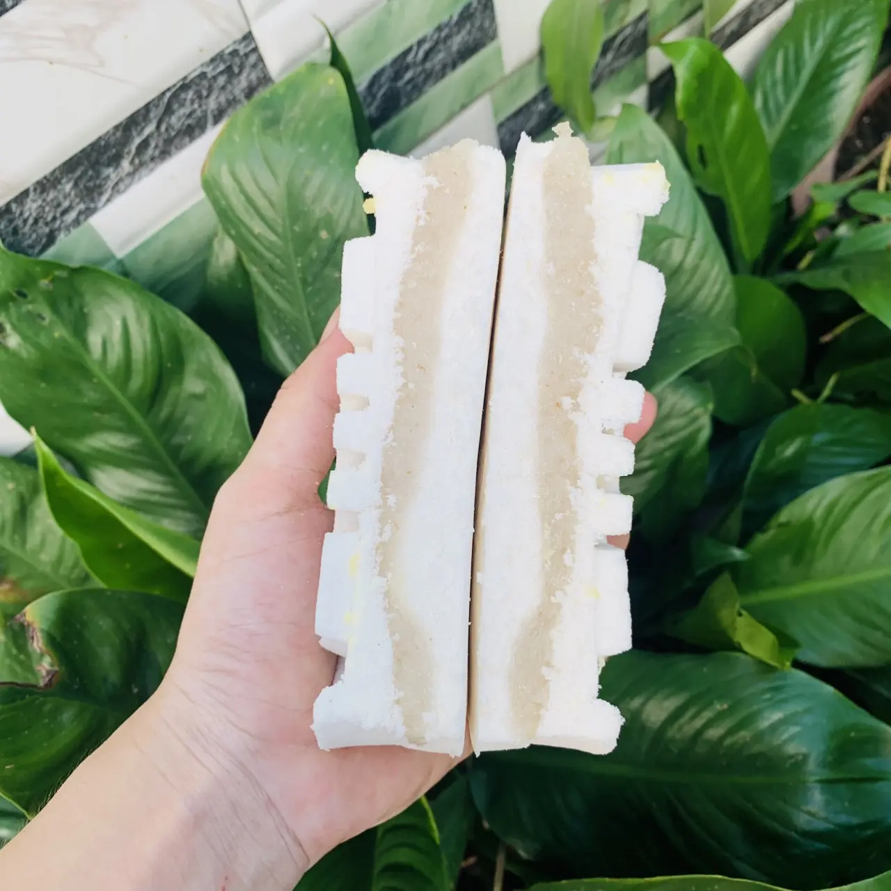 COMBO 2 CÁI BÁNH IN NHÂN DỪA BÔNG MAI [480-500g/2 CÁI] NHÀ Mlem Food. Cake Cake