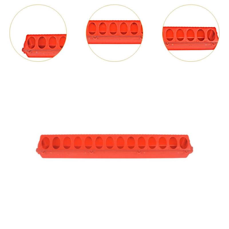 Product Introduction of Poultry Feeder Multihole Flip Top Chicken Feeder for Quail Pigeons Budgies 1