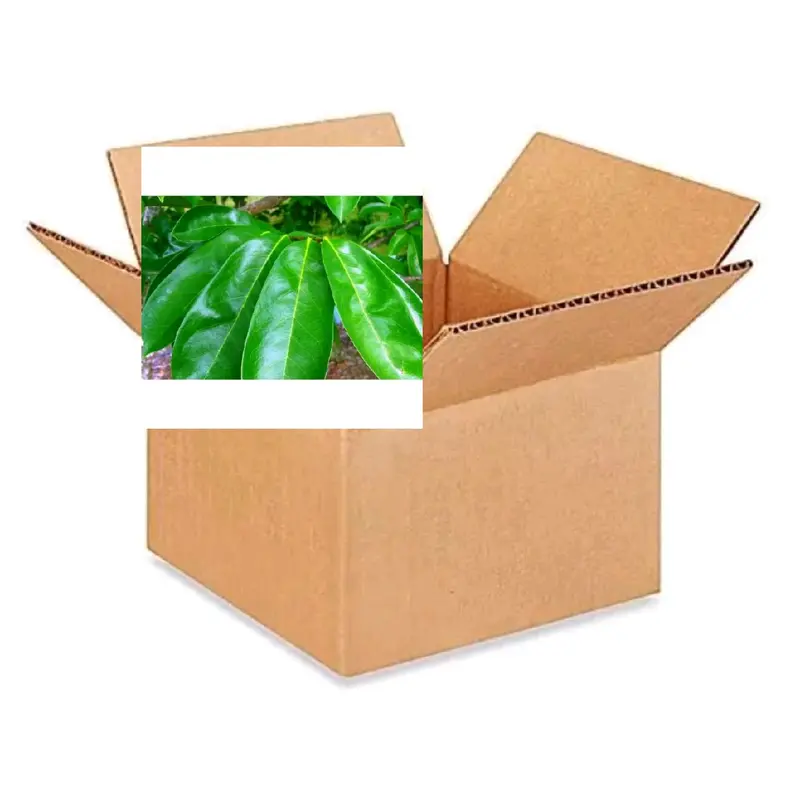 KARDUS PEKING DAUN SIRSAK SEGAR 100 LEMBAR 0