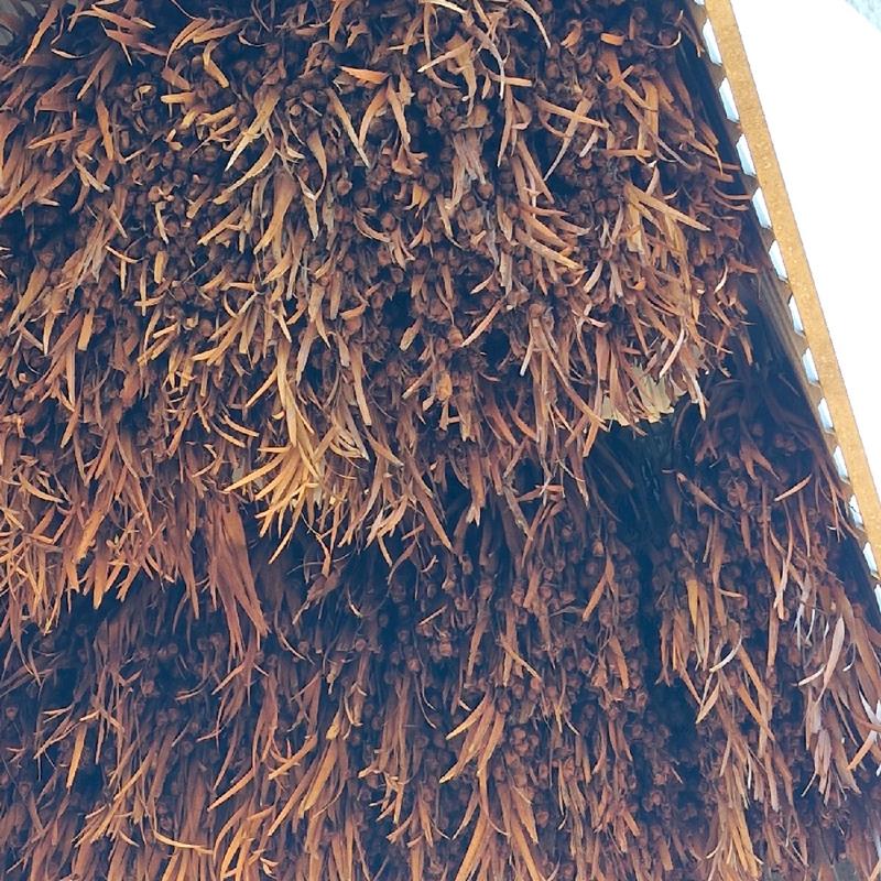 túi 500g phân dơi nguyên chất, phơi khô, túi zip tiện lợi có nhãn dán 4
