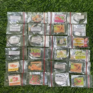 Benih buah buahan unggul mudah tumbuh Melon Jambu