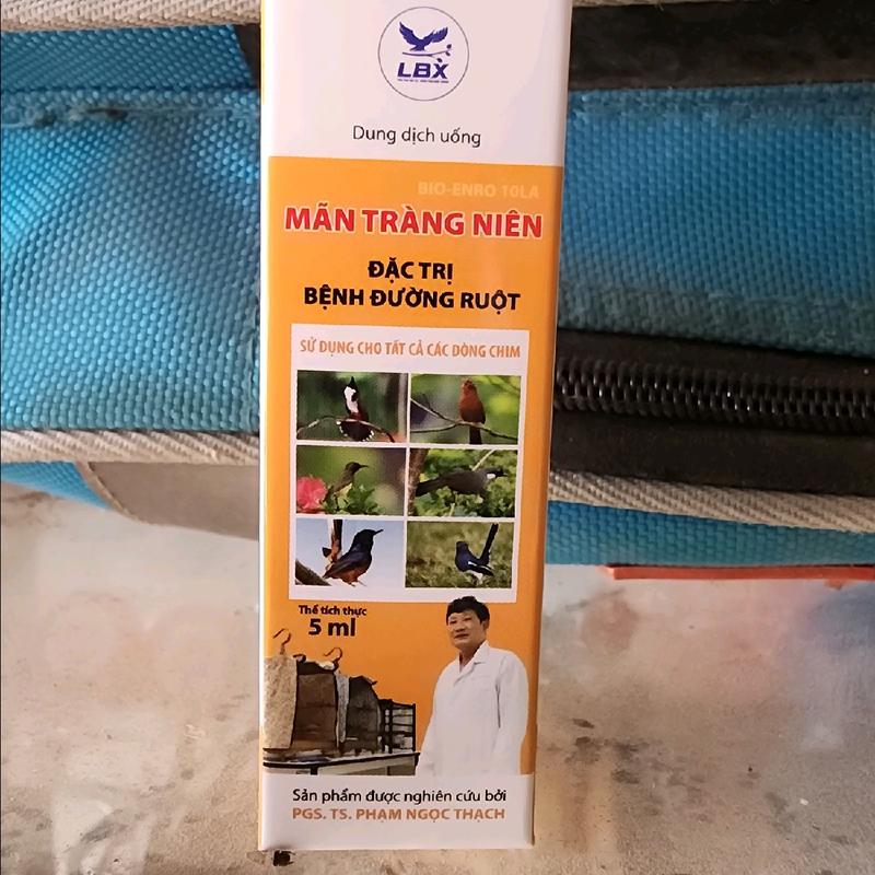 thuốc đặc trị đi ngoài cho chim cảnh chim chào mào 0