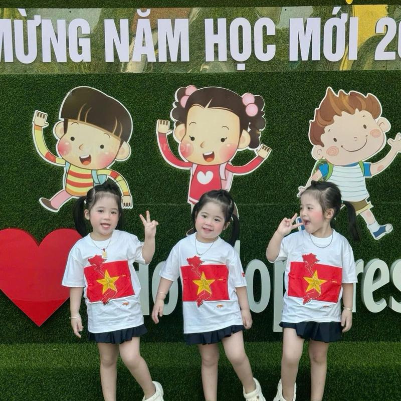 Áo thun  Việt Nam cờ đỏ sao vàng  ngực 8-85kg , áo phông gia đình , kid_genz 5