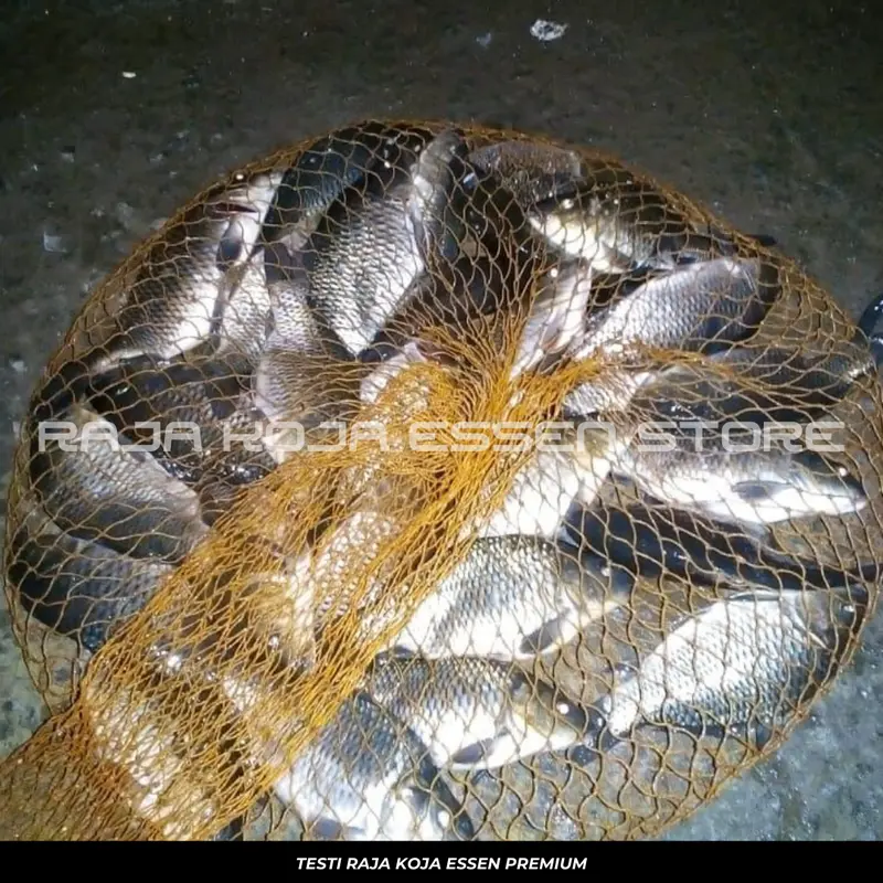 Essen Oplosan Usar Katilayu Melon Kaweni Paling Ampuh Paling Gacor Untuk Ikan Mas Isi 30ml Alat Mancing 3