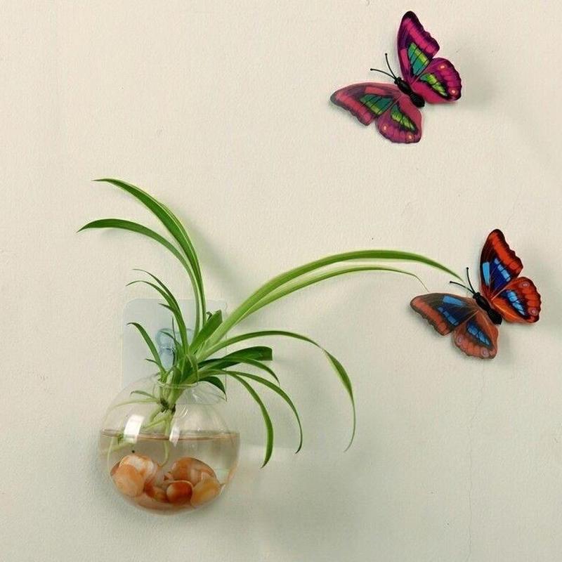 Bình Hoa Kính Treo Tường, Phong Cách Terrarium, Lò Xo Treo Tường, Chậu Cá, Thích Hợp Cho Bể Cá, Đồ Trang Trí Hoa, Trang Trí Nhà Cửa 6