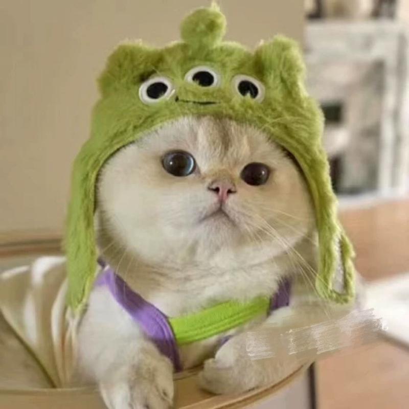 Product Introduction of Funny Pet Costumes: Starfish, Bream, Pig, Chicken, Bear, Panda Headbands for Cats & Dogs 12