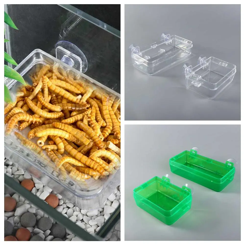 Gecko Food Bowl Anti-escape Suction Cup Reptile Feeder Dish Plastic with Suction Cup Reptile Anti Escape Feeder Turtles