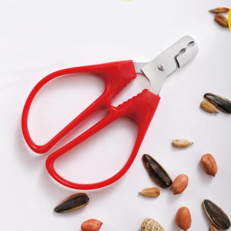 Nut Shell Cracker, Stainless Steel Nut Scissor Opener Sheller, Chestnut ...