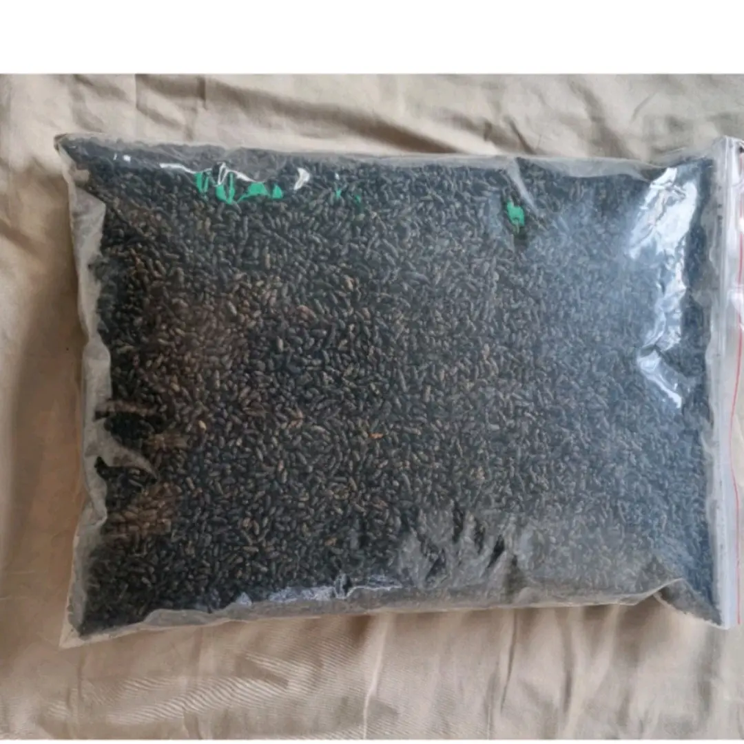 1kg phân dơi khô nguyên chất không nhãn.