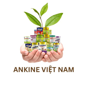 Ankine Việt Nam