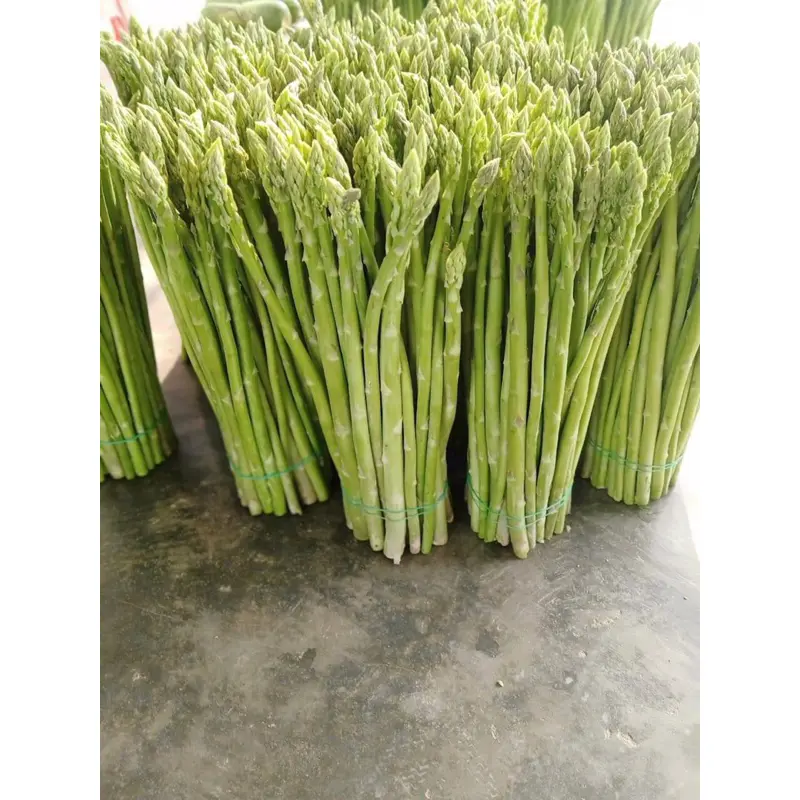 5gr Hạt giống măng tây xanh Trang Nông (tầm 150 hạt) 2