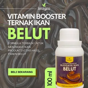 Vitamin Untuk Ternak Belut Organik Cair Agar Ikan Belut Cepat Tumbuh Besar / Vitamin Budidaya Belut