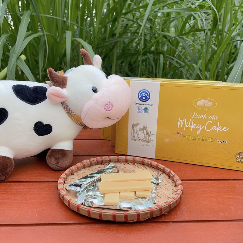 [Combo 3 Hộp] Đặc Sản Bánh sữa Ba Vì Vị Truyền Thống Xưa Food Cake