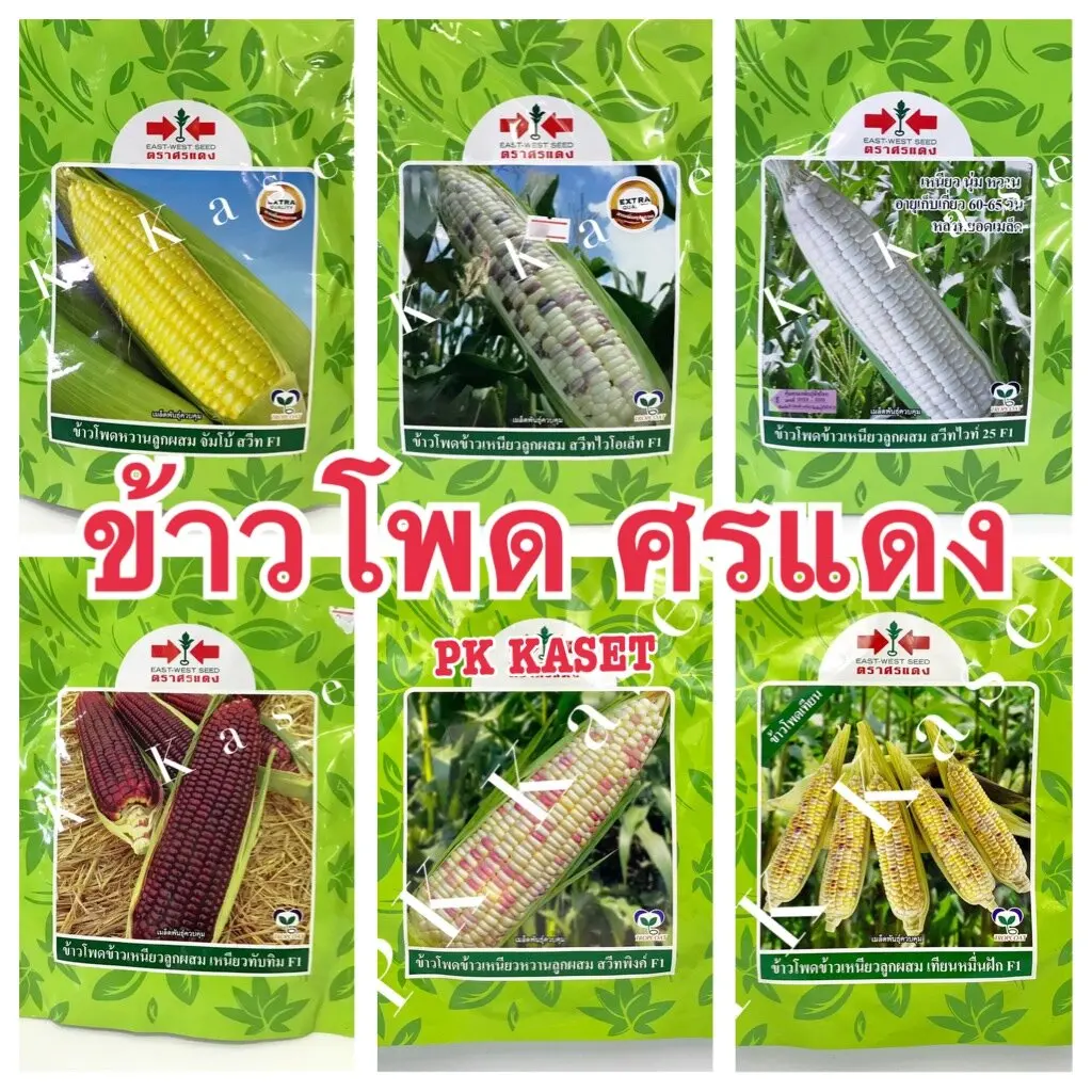 เมล็ดข้าวโพด ศรแดง 200 g ข้าวโพดหวาน ข้าวโพดข้าวเหนียว