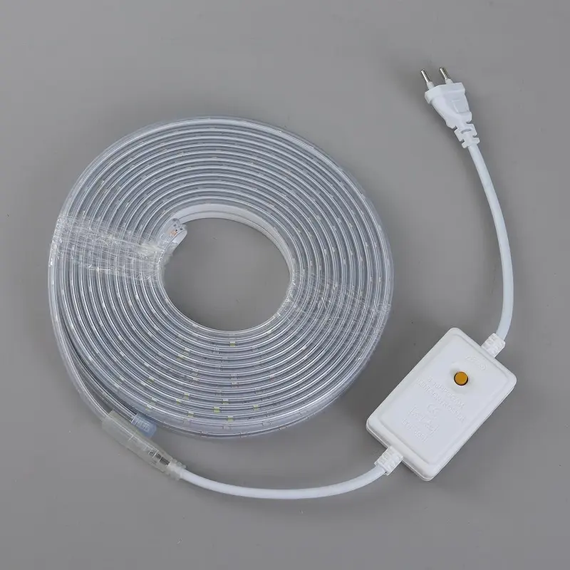 Đèn cuộn màu nước, 220V, với dải thay đổi màu, siêu sáng, để trang trí nội thất, trần phòng khách trong nhà, dải chống ánh sáng ngoài trời, phác thảo kiến trúc, chiếu sáng cảnh quan, trang trí chủ đề giải trí, đèn LED 3